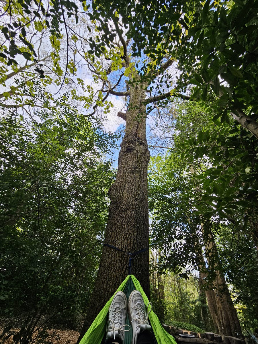 A new view from the Forest School at BOPS.