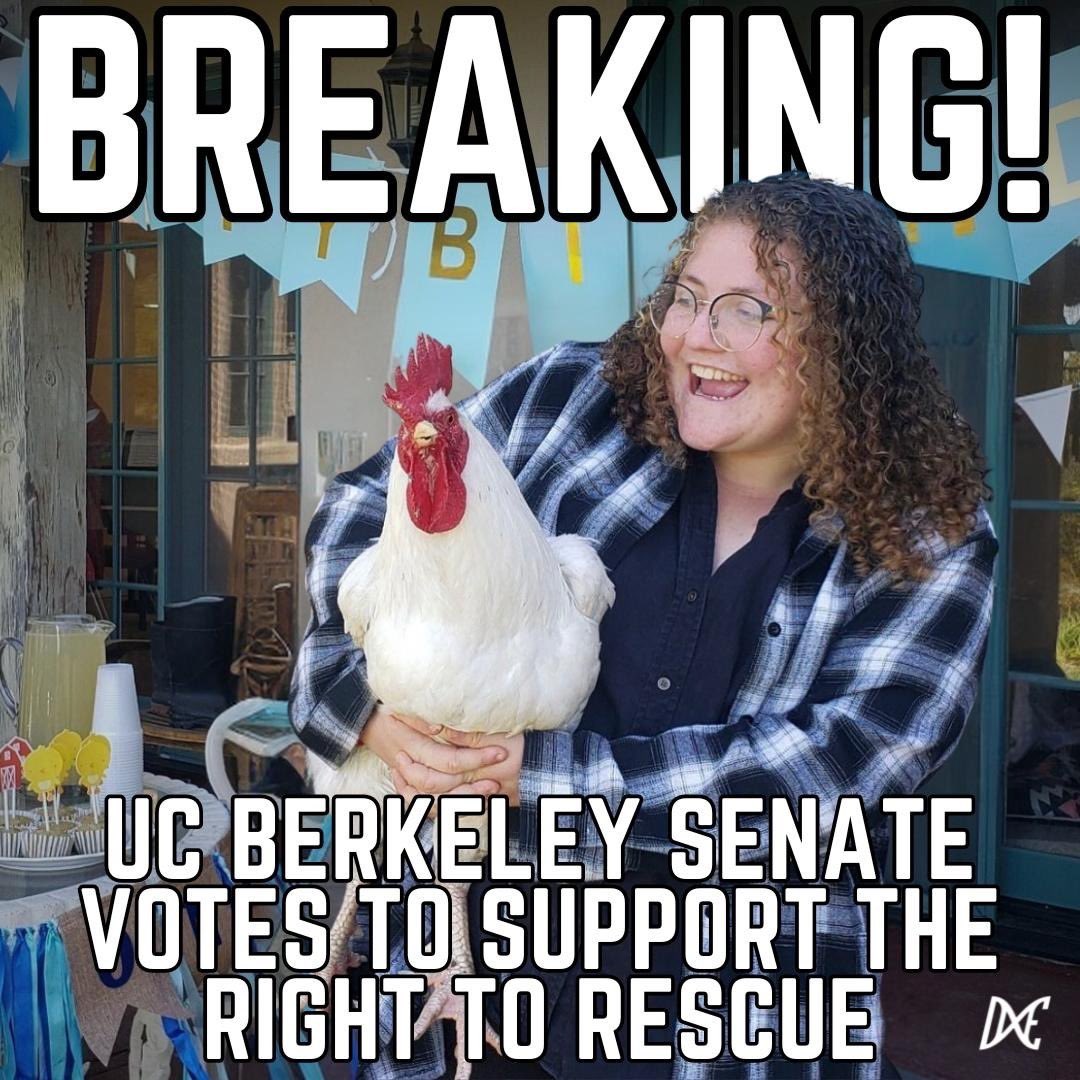 BREAKING: The Associated Students of the University of California at UC Berkeley have passed a resolution in support of animal rescue. The resolution specifically calls out Sonoma County law enforcement for charging a UC Berkeley student with felonies for rescuing four chickens