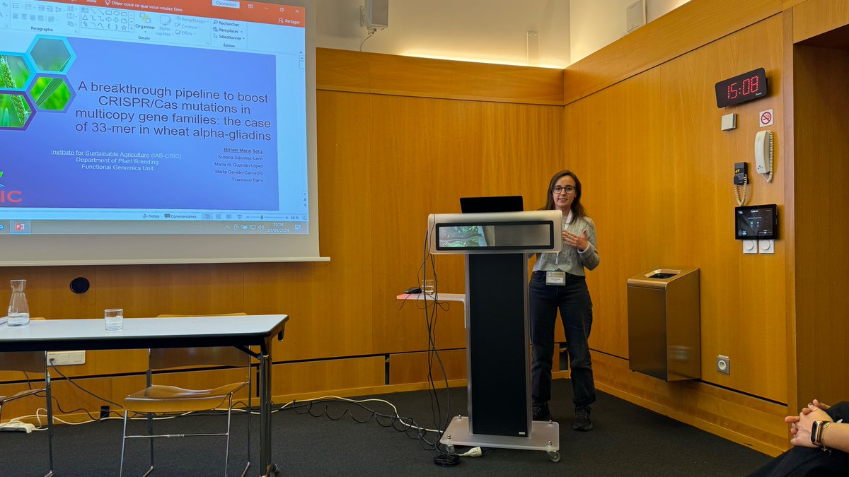 FBarrosLab's tweet photo. Miriam Marín presented her CRISPR/Cas bioinformatics tools at the 17th ICC International Cereal and Bread Congress #ICBC2024, Nantes (France). #CRISPR multiplexing made it easier.
@TrigoHubCSIC  @IAS_CSIC @CSICdivulga https://t.co/ykzLjV6JyX