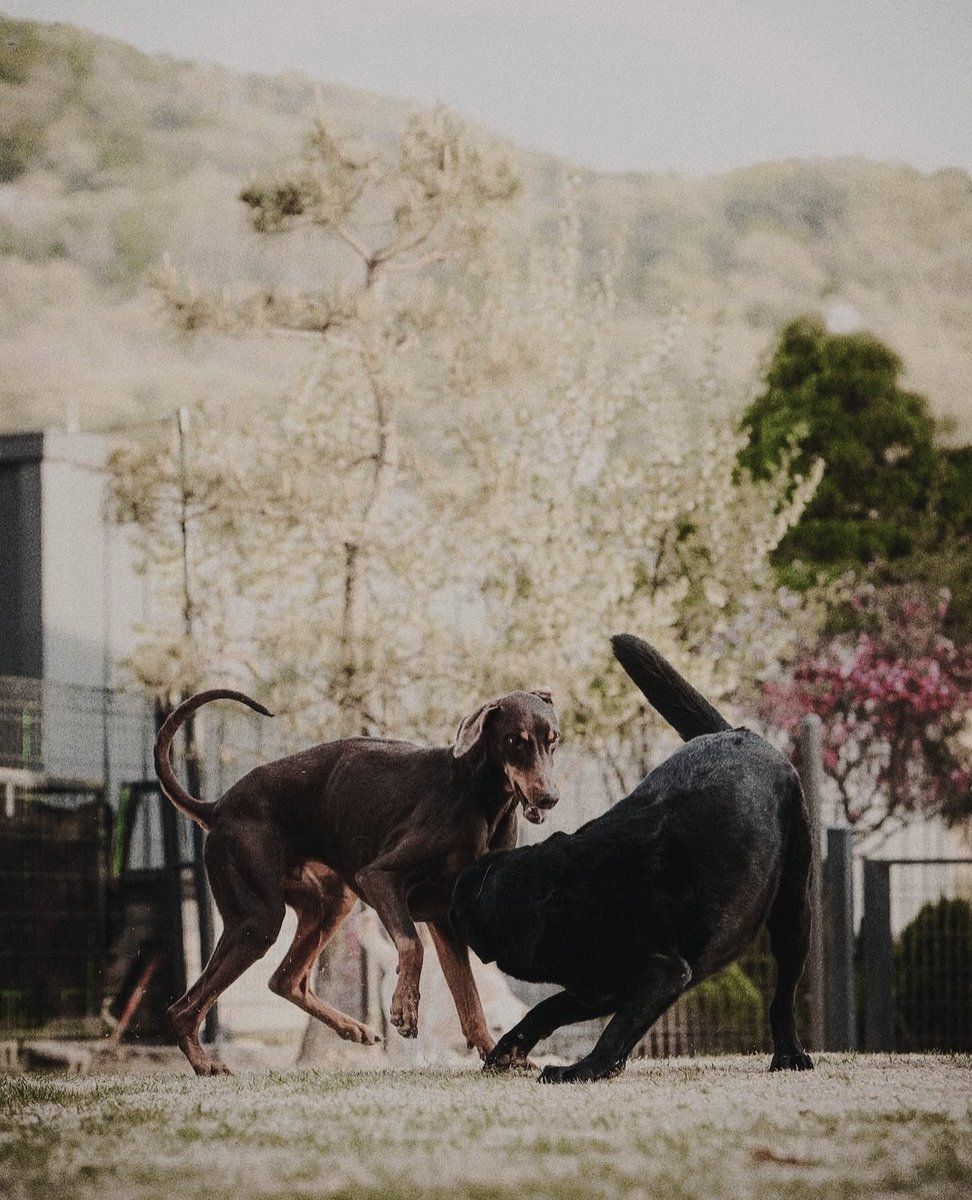 JUNGKOOK. (@sirejk) on Twitter photo 