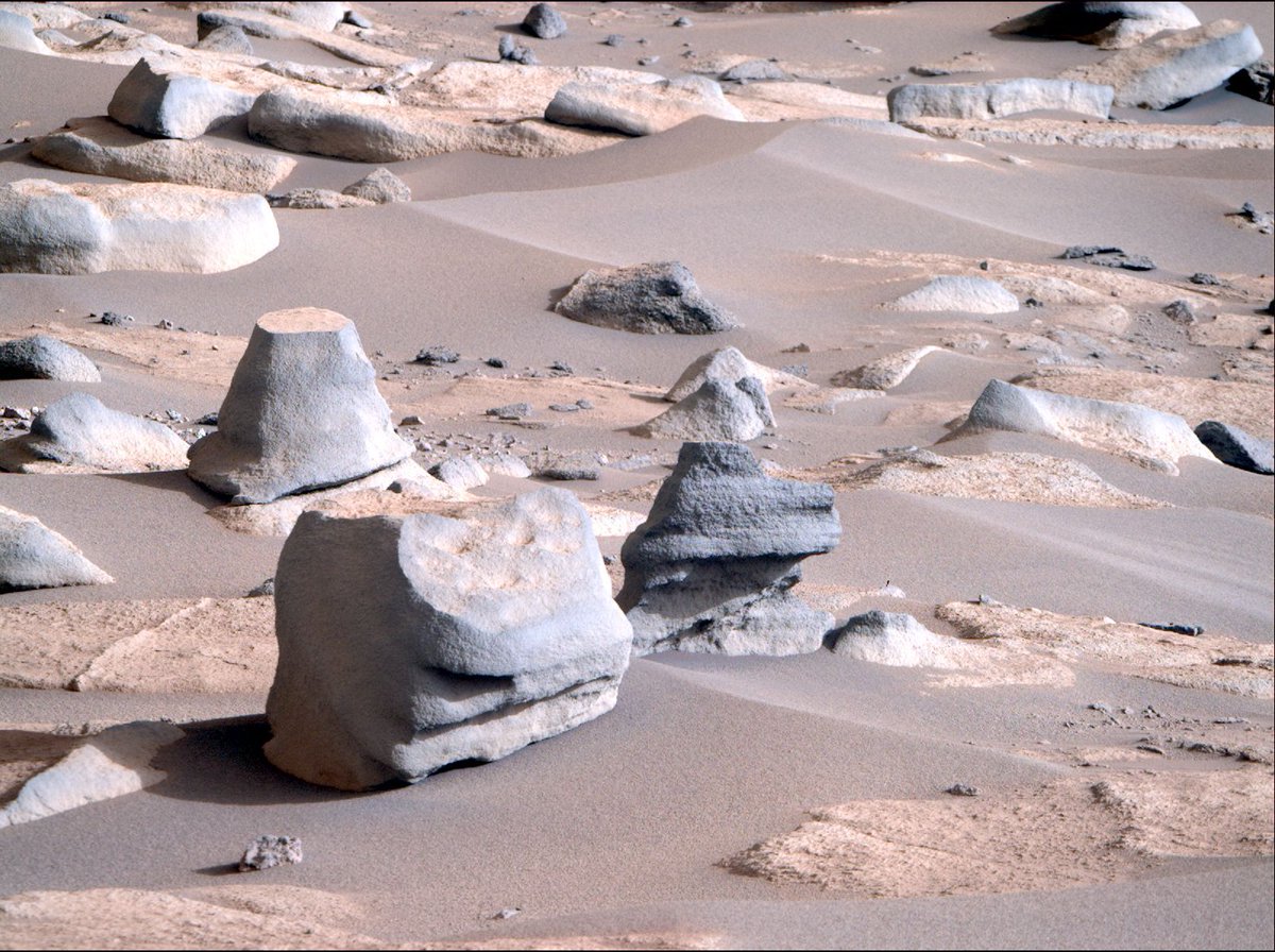 #PPOD: @NASAPersevere captured this image of some interesting Martian rocks on Sept. 17, 2023. The image was selected by public vote as an 'Image of the Week' for the mission. It has been edited to bring out more detail. Credit: @NASA @NASAJPL @Caltech @ASU @exploreplanets