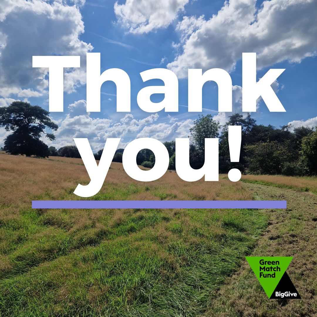 We did it! Thanks to you, we exceeded our #GreenMatchFund target and raised £41,633 🥳 We want to say a big thank you to everyone who donated. You've all had a huge impact on the future of @healsomerset. #Rewilding #HealSomerset #NatureRecovery #Wildlife