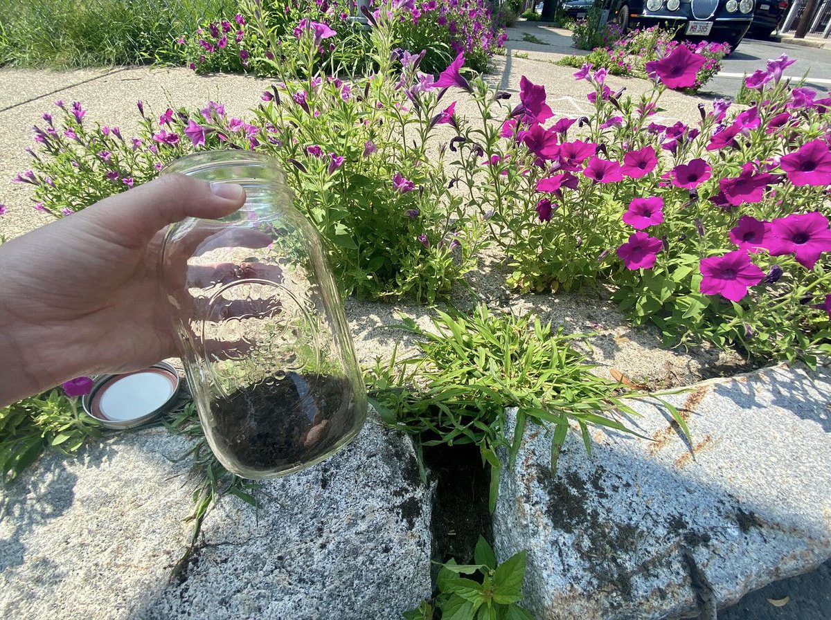 Get inspired for summer programing with our 🌱Summer STEAM throwback ideas via our April newsletter! #STEAM #PLIX buff.ly/4cXxIzK