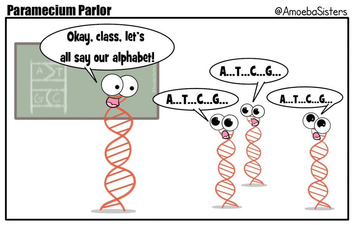 Happy #NationalDNADay! Take a moment today to share your passion for #genetics and #genomics with someone. Follow @AmoebaSisters for fun #science content #GeneChat #PrecisionMedicine
