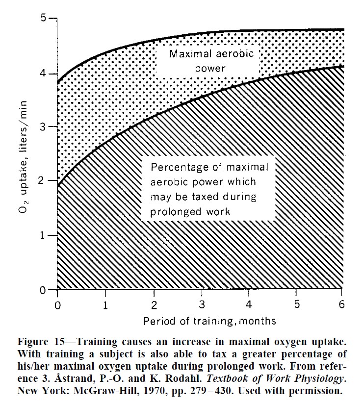 Training just under critical speed (moderate intensity) is important because you: • Develop adaptations that help clear acidosis from high intensity • Recover quicker from repeated high speed efforts • Build larger capacity to handle high intensity training