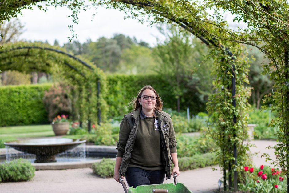 Our Green Careers Open Day takes place tomorrow! Don't miss out on the last chance to apply for your free ticket to gain entry to the event. Take advantage of this opportunity to pursue your dreams and advance your career in horticulture. eventbrite.co.uk/o/royal-hortic…