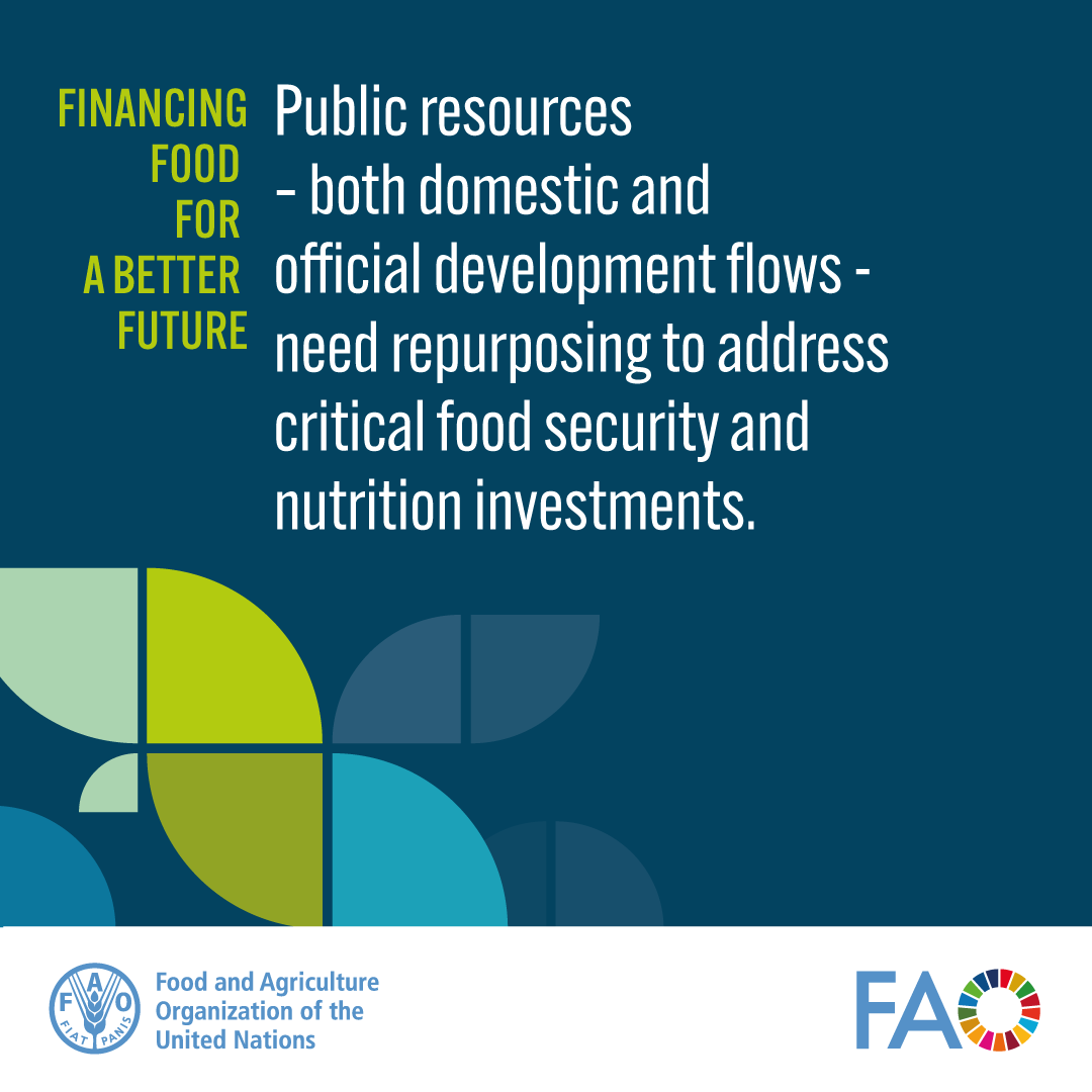 Public support to agrifood systems should be repurposed.

This needs to happen both within the country and by increasing official development assistance flows to countries that need it most.

#FfDForum
#Fin4Dev
#GlobalGoals