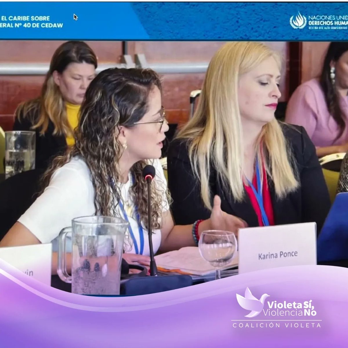 #CEDAWGR40 |La Coalición Violeta, participó activamente en la Consulta Regional para América Latina y el Caribe para la elaboración de la Recomendación General Nro. 40 de CEDAW sobre la representación igualitaria e inclusiva de las mujeres en los sistemas de toma de decisiones.
