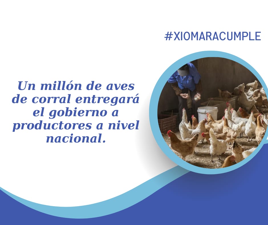 LA PRESIDENTA BRINDANDO APOYO A TODOS LOS PRODUCTORES A NIVEL NACIONAL. 
#XiomaraCumple ✅️