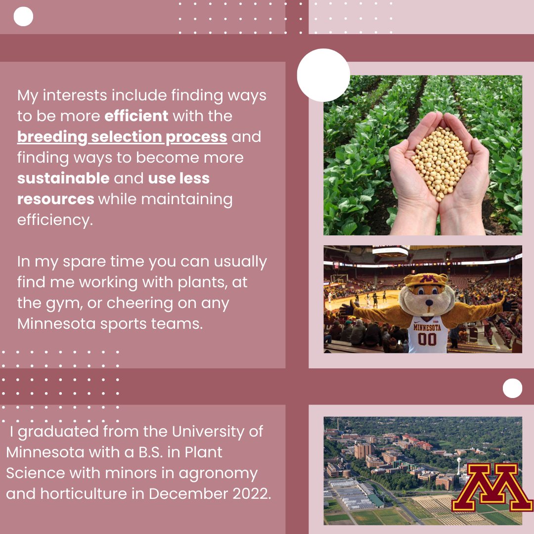 MNYIchallenge's tweet photo. Meet Elizabeth Spencer, a 2018 Borlaug Scholar from the MNYI! Elizabeth studied Plant Science at the University of Minnesota (CFANS) and graduated back in 2022. Elizabeth is now working as a Research Assistant for Soybean Breeding at GDM Seeds in Hutchinson.
#MNYI #BorlaugScholar https://t.co/ZK6ZfLdexu