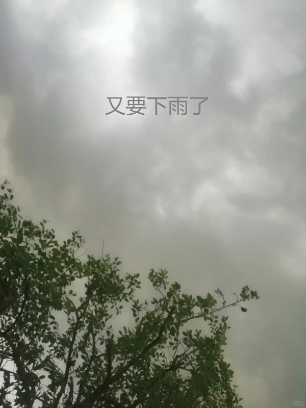 哈嘍 我是櫃檯小妹柳柳 
好煩😒·····
又要下雨了