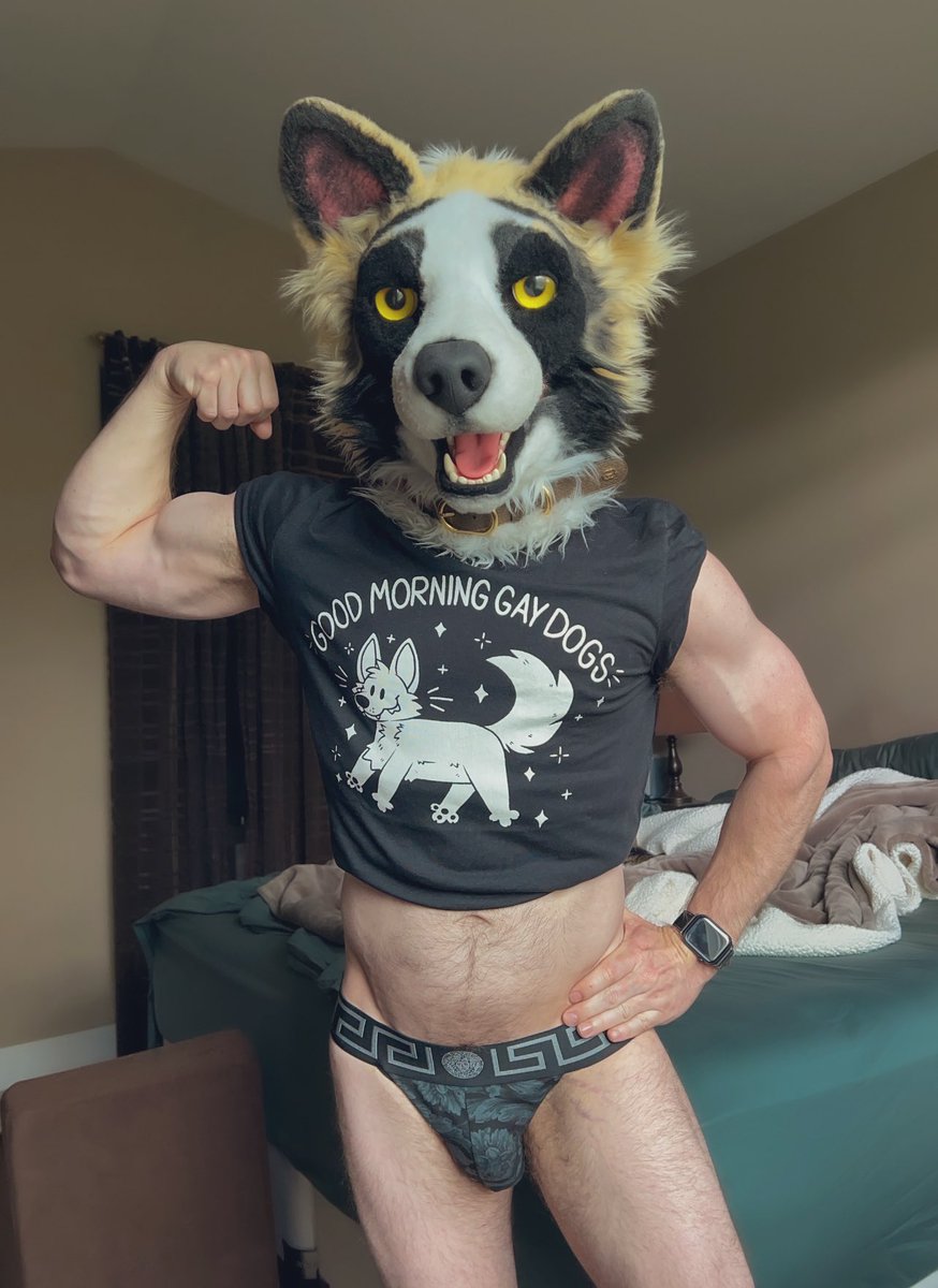 GOOD MORNING GAY DOGS!!! 💪🐶❤️ (others too!) 🐶🧵🪡: @SarahcatFursuit 👕: @PrismPaws