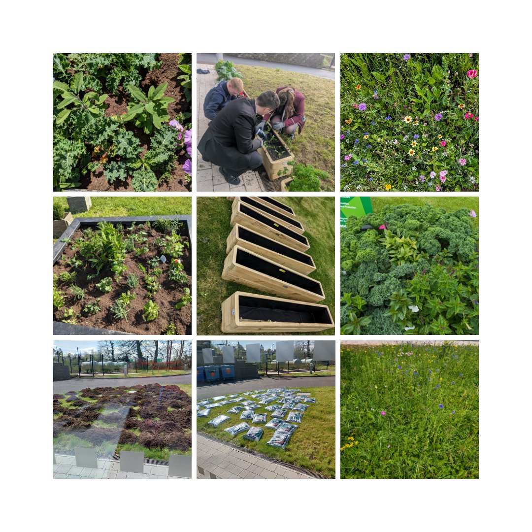 🎉Congratulations to @swccollege who completed a Senses Garden & Pollinator Patch through the @Isupportlhlh Small Grants Scheme. 🌻It aims to provide a space for the public, students & staff to view wildflowers & learn the importance of sustainability, biodiversity & pollinators