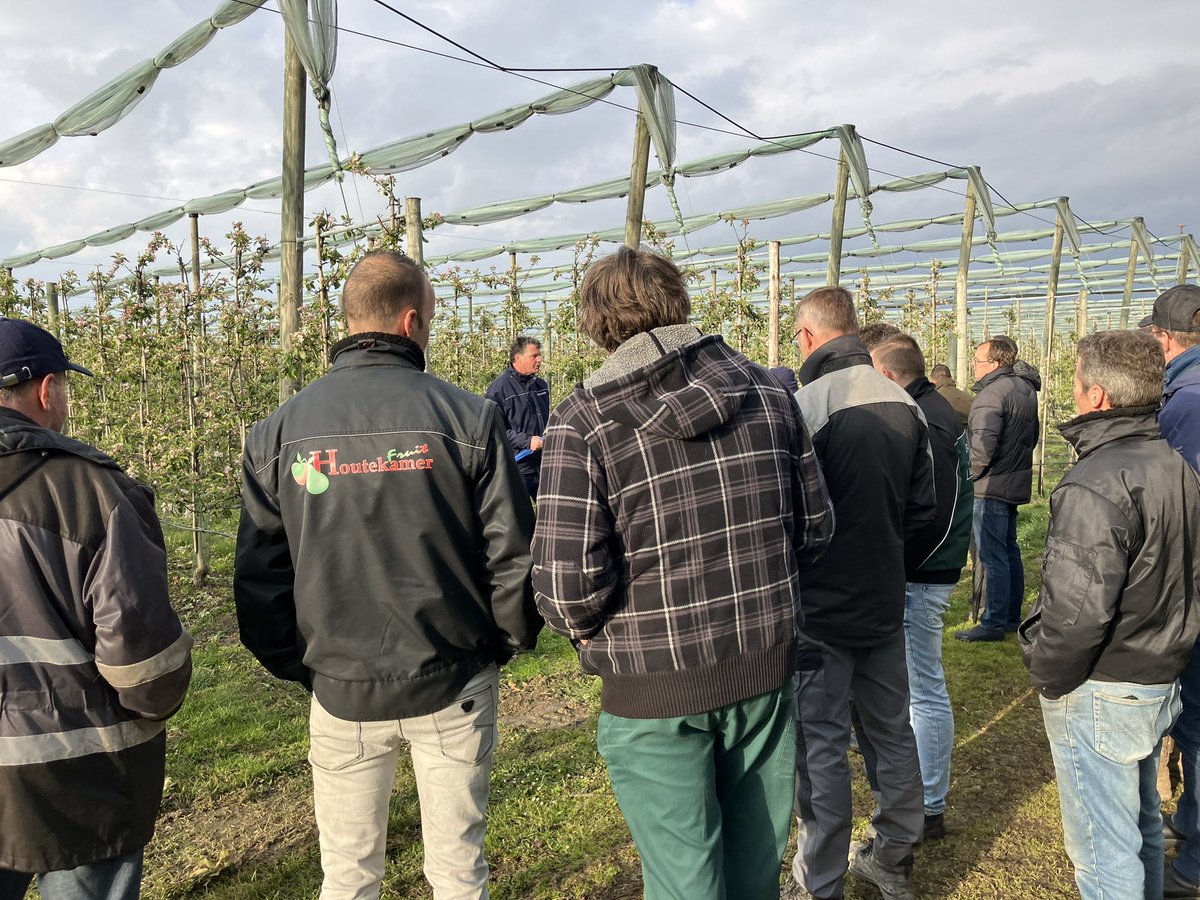 Actualiteiten in de fruitteelt besproken bij de @NFOfruit bijeenkomst olv fruitteam @iperen_nl