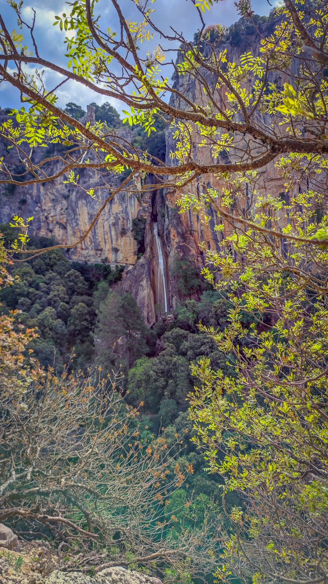 Cascada del Linarejos (Sierra de Cazorla, Jaén) #linarejos #cascada #waterfall #naturaleza #nature #NaturePhotography #cazorla #parquenaturaldecazorlaseguraylasvillas #sierradecazorla #paisaje #landscape