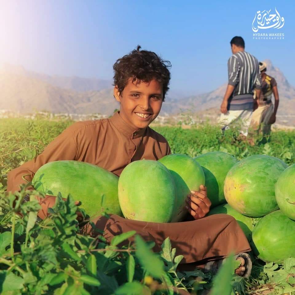 BassamAlban2026's tweet photo. سنتحدث اليوم عن الملف الزراعي في الجنوب

بلغ الينا من بعض المصادر لم نتاكد من مصداقيتها   إنه بمعدل يومياً يتم تحويل مايعادل مليون ريال سعودي بحد اقصى من قيمة الاستهلاك من الخضروات و الفواكه يتم ارسالها الى معبر في قاع جهران الواقعة ضمن المناطق الخاضعة لسيطرة مليشيا الحوثي https://t.co/e6MN3ShCdG