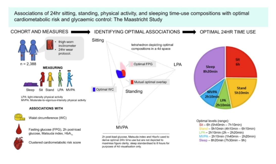 What are the 24 h time-use compositions of sitting, standing, #PhysicalActivity and sleep associated with optimal #cardiometabolic health and #GlycaemicControl? Cross-sectional findings from extensively phenotyped participants in #TheMaastrichtStudy tinyurl.com/k9s23a4p 🔓