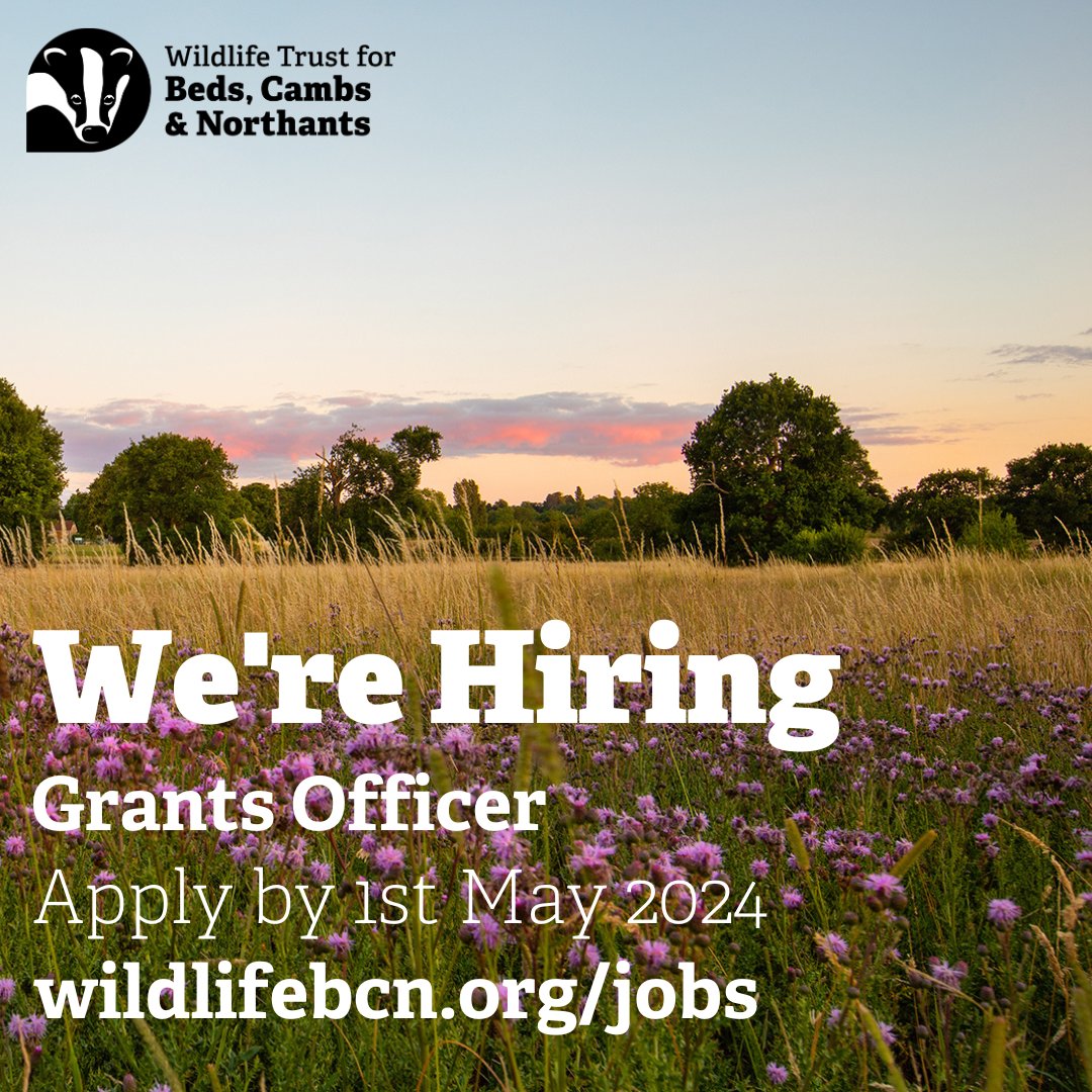 We have an exciting opportunity to help us fund our work protecting wildlife. Play your part in nature's recovery by ensuring we have the resources we need. Are you creative, have excellent writing skills & a desire to make a difference? Find out more & apply below