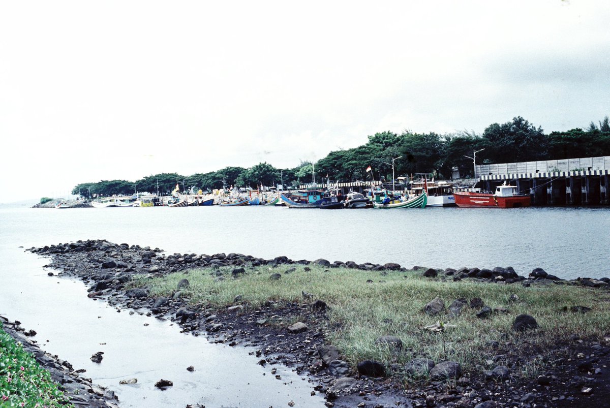 tryptophaness's tweet photo. 📍Pantai Boom, Banyuwangi-Jawa Timur

📷 Canon Ftb
🎞 Piccolo Film 500
🧪 Canail Lab

#photography #analogphotography #35mm #55mmlens #canon #usercanon #canonftb https://t.co/IGVtpyat3s