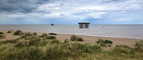 LeistonBookFest's tweet photo. We're excited to say that our first festival takes place
@LeistonFilm on Saturday 7th September. Please follow, RT &amp; sign up for updates. If you love reading about nature and environment, you'll love this! https://t.co/M7VphO5FBh