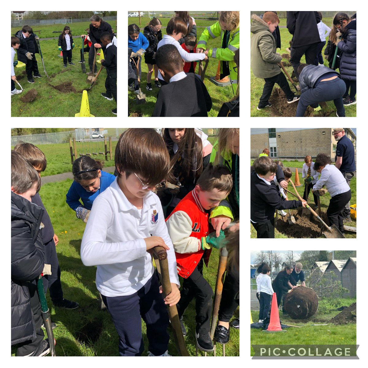TheHiveStBen's tweet photo. What a great day planting a tree in our school garden with the Hive 🐝 and our Italian 🇮🇹 friends! Thank you Claire and Harley @TCVScotland We can’t wait to see it grow 🌳@GlasgowNurture https://t.co/O5b7y2qiv5