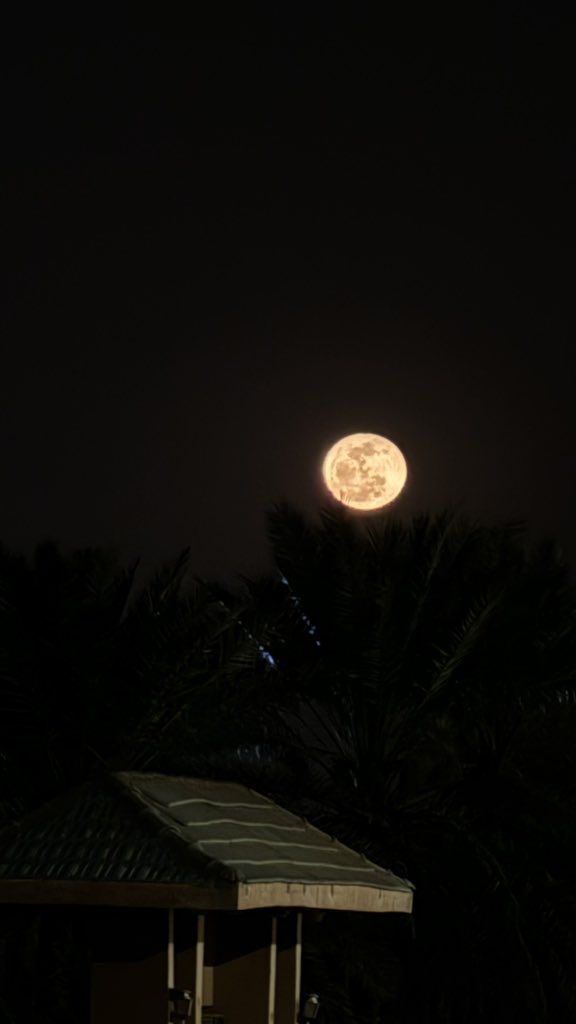 T0URKK's tweet photo. الوجهُ من فرطِ الجمالِ كأنهُ
قمرٌ تجلّى في الظلام الأدهمِ https://t.co/ge6sZVHt5U