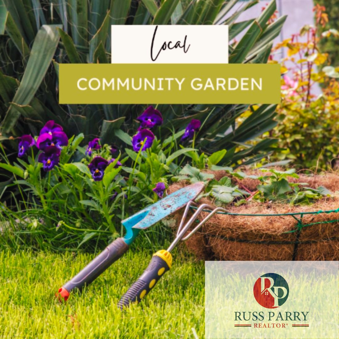 If you don't have the space to grow and plant flowers and vegetables, a community garden is a great option for you. They provide fresh produce and a way to connect with other gardeners in your city. 

#communitygarden #plot #community #connect #getinvolved #produce