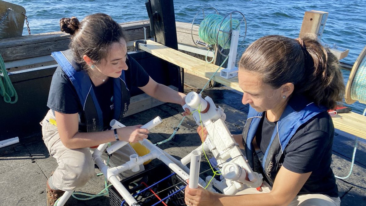 #ICYMI @NOAA and Ocean Discovery League are joining forces to revolutionize deep-ocean exploration. Their innovative partnership aims for broader access and diverse participation in understanding our oceans. Learn more here: noaa.gov/news-release/n…