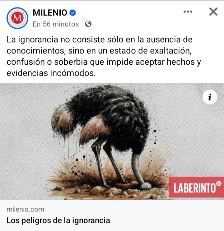 9artificialmind's tweet image. ✅️ SI VALENTINO YA LO SABE
ESPEREMOS LA GENTE REACCIONE A TIEMPO