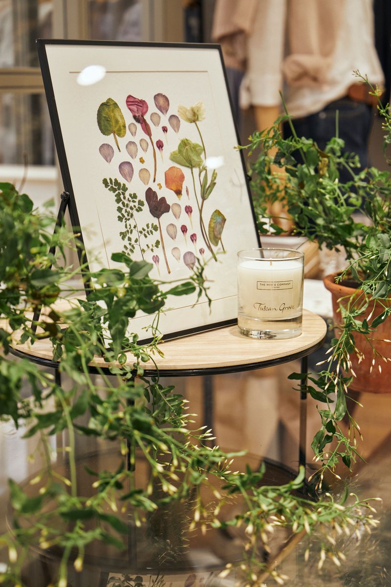 @thewhitecompany @MellSquare_UK During the evening, they’ll take you on a journey through their summer scent collection and the flowers that inspired them

While you’re in the store, feel free to have a look around and make purchases, in the relaxed environment of this intimate event

➡️ eventbrite.co.uk/e/flower-press…