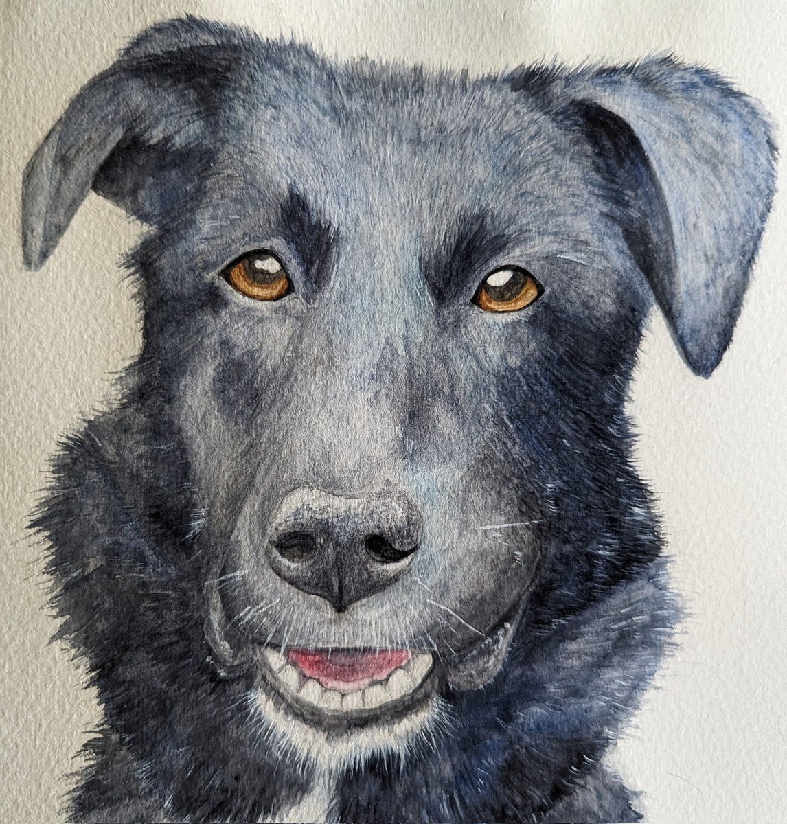 Just finished a pet portrait for one of my mom's friends of her new dog Pepper. I love doing pet portraits but I always feel an extra pressure to try and get the likeness close enough.