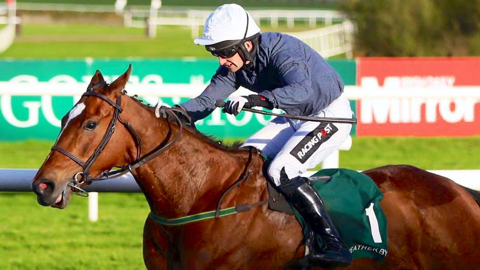 Who will follow the likes of Colreevy (pic), Augusta Kate & Grangee in winning the @weatherbys GSB @IrishEBF_ Mares Bumper @punchestown next Wednesday? @WillieMullinsNH trained those three mares and is responsible for four of the 17 entries in the 2024 renewal. His quartet…