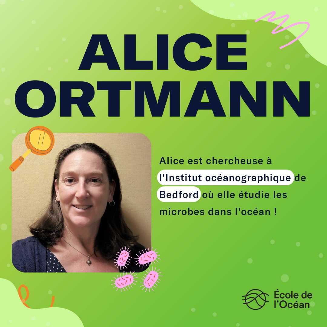 École de l’Océan 🐋 tweet media