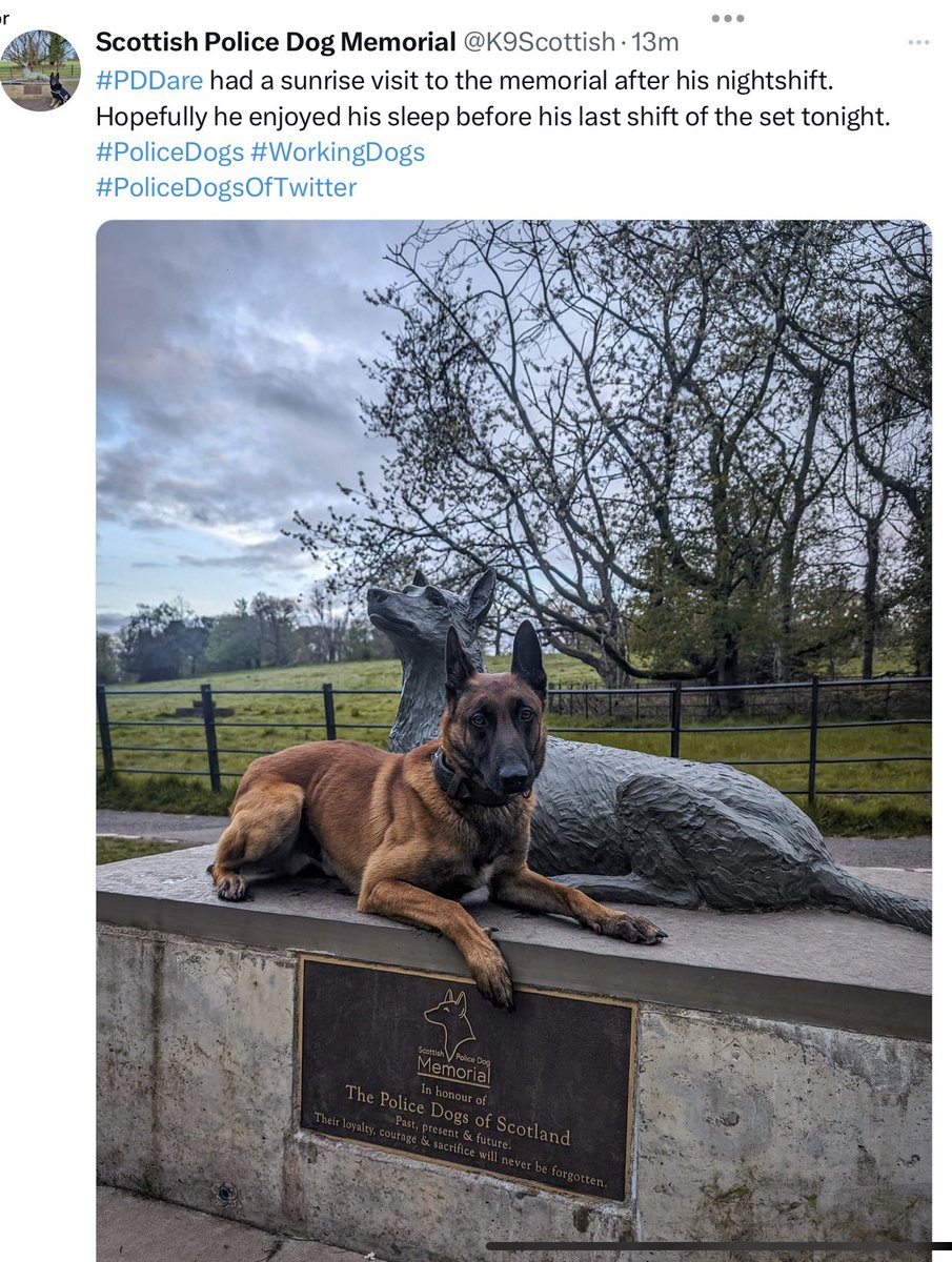 Brave Police Dogs such as PD Bacca will always be remembered thanks to the efforts of a few @K9memorialUk @K9Scottish Both memorials honour all these Amazing Animals equally = Just the way it should be💙
@AssociationRPDs @The_NFRSA @MA_PurplePoppy @K999Cops @K999CopsOAPs