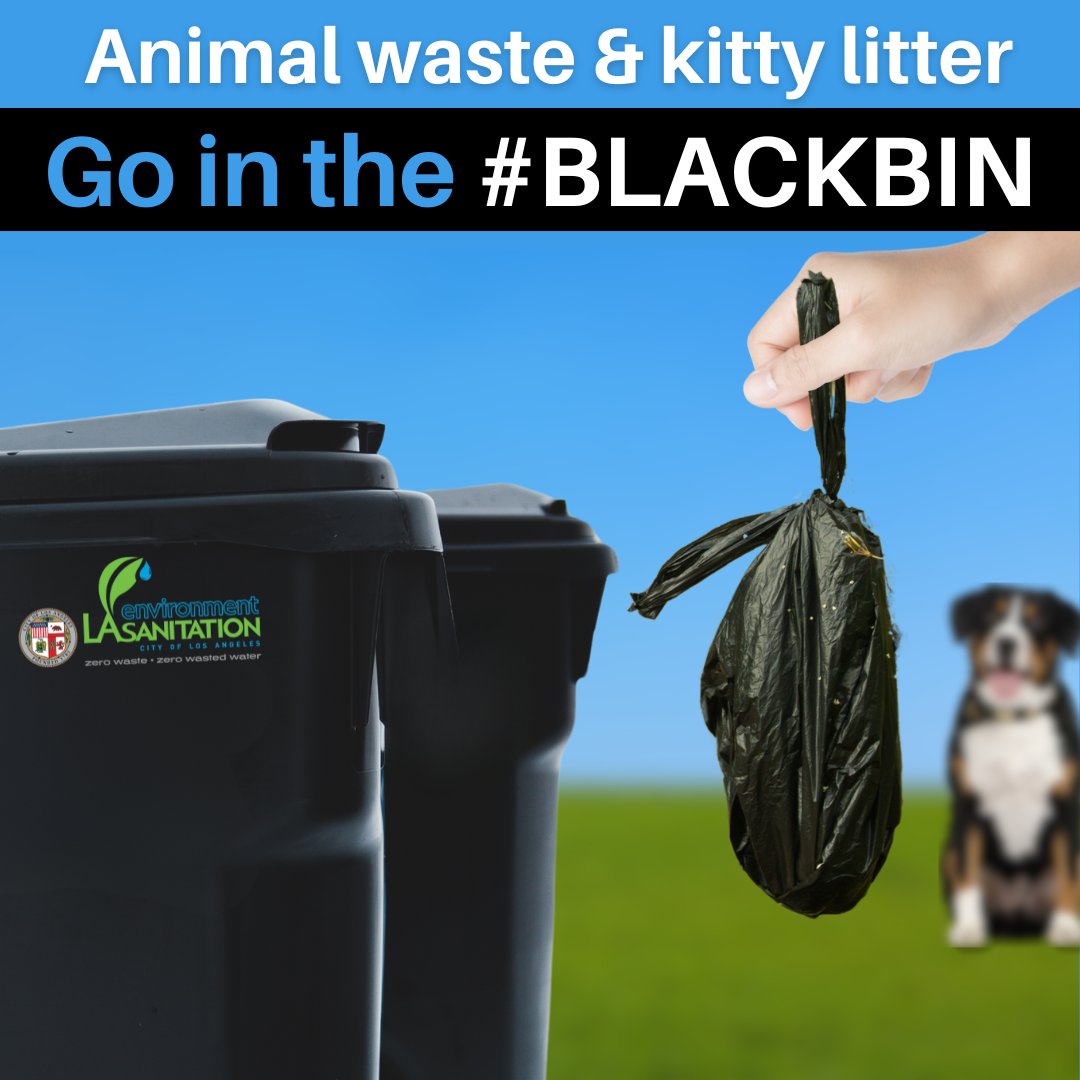 LACitySAN's tweet photo. Remember animal waste contaminates recyclables and organics; that's why it goes in the black bin!
Learn what goes in the #greenbin, #blackbin, or #bluebin by visiting https://t.co/vaWQ1qQQZj
#OrganicsLA #organics #dogs #cats #pets #pettips #petcaretips #blackbin #sustainability https://t.co/uZbZ3Dw8ol