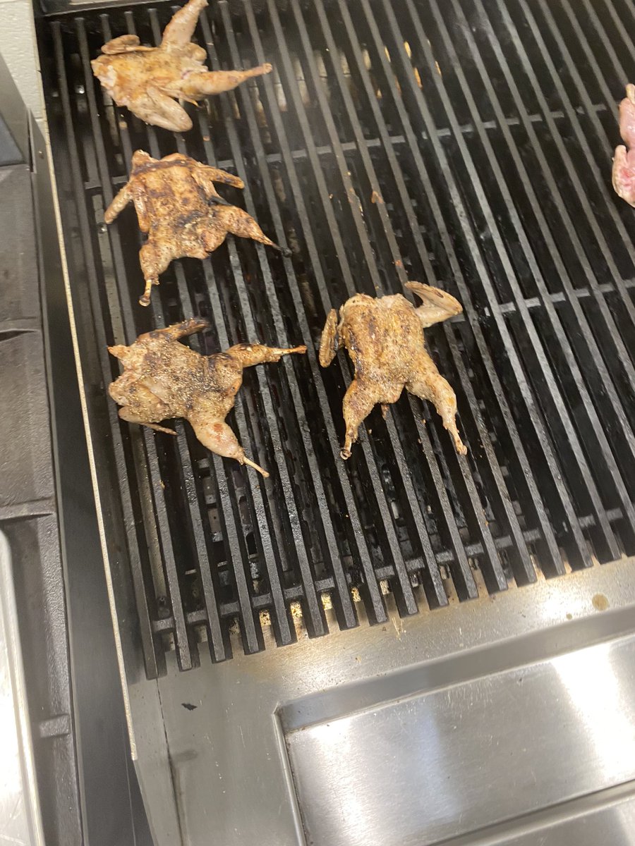 gabbyskitchennn's tweet photo. The quail. https://t.co/MlC32GozLU