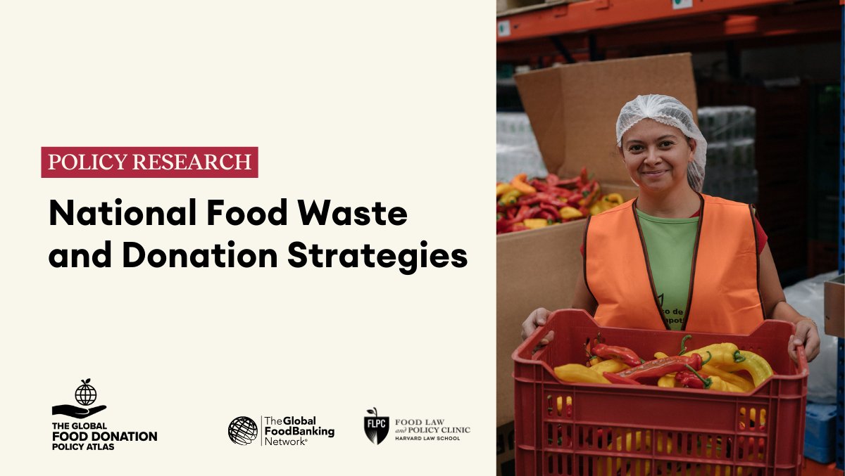 Policies that encourage surplus food redistribution, like donating to food banks, can significantly streamline national efforts to tackle food loss and waste. Read more of our recommendations with @HarvardFLPC: bit.ly/3U3ZO3V | #StopFoodWaste