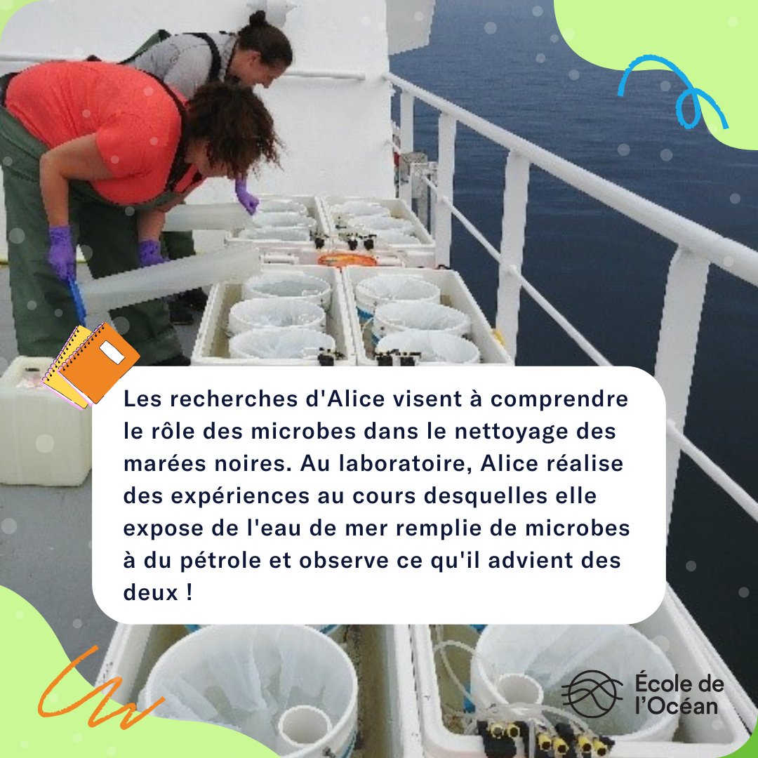 École de l’Océan 🐋 tweet media