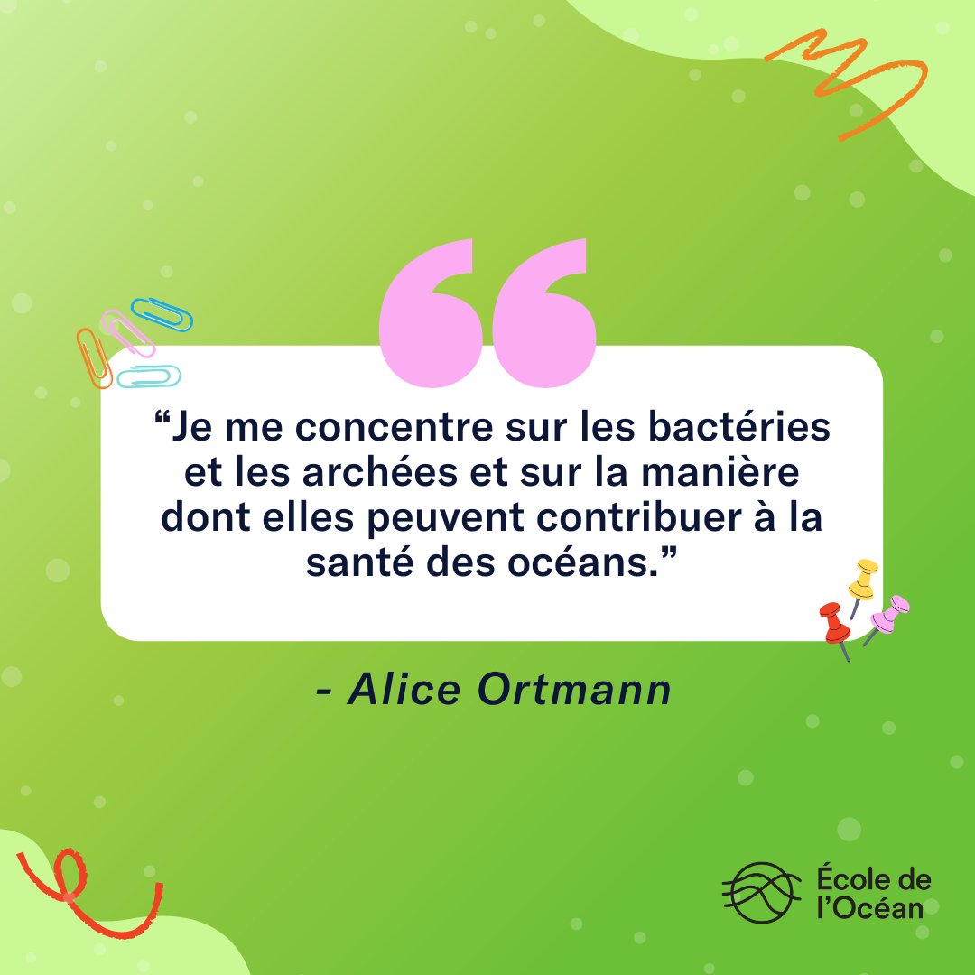 École de l’Océan 🐋 tweet media
