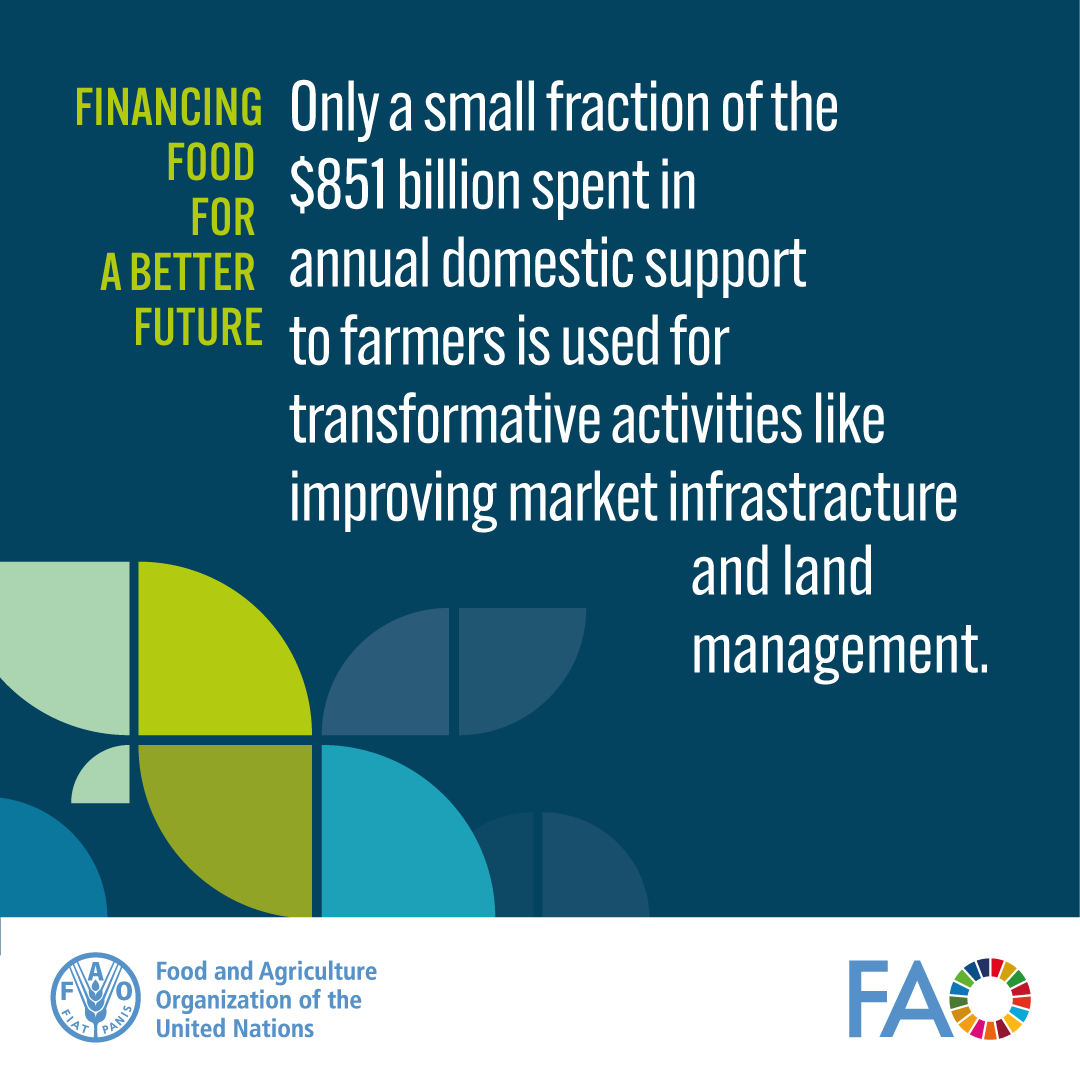 @FAO @FAO4Members @LuxembourgUN @MalawiUN @UN_Women @WorldBank @AnneDostert @UNECOSOC @FAOSocioEcon Only a small percent of all domestic support to farmers is used for activities that help to achieve

✔ improved infrastructure for markets and market access
✔ land management
✔ carbon sequestration

This needs to change.

#FfDForum
#Fin4Dev
#FinancingOurFuture