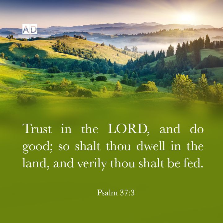 Trust in the LORD, and do good; so shalt thou dwell in the land, and verily thou shalt be fed. @umucyoc @rasciples @cenacleministry @amazingfacts @thompsonb2569 @RitaMcDougald6 @JanisCarrie1 @christemb_usa @InnocentByabag5 @realbencarson @nadadventist