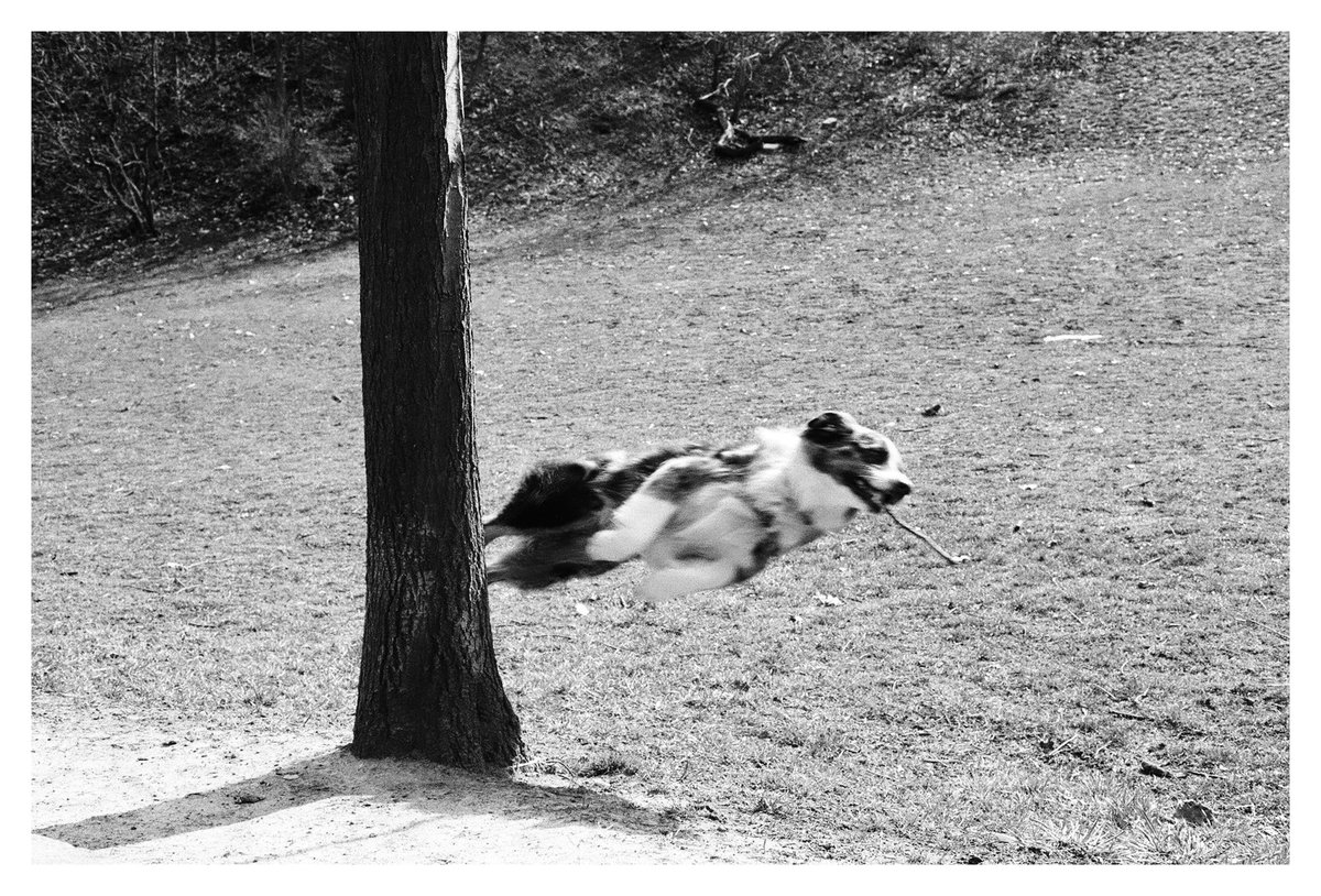 astroboy2k's tweet image. Gm everyone! I&apos;m really pumped to share my photography with all of you. I&apos;ve been shooting for a solid 10 years now, and in the past 4 years, I&apos;ve really dived into film photography. These days, my focus is mainly on capturing the streets and the people in them☮︎