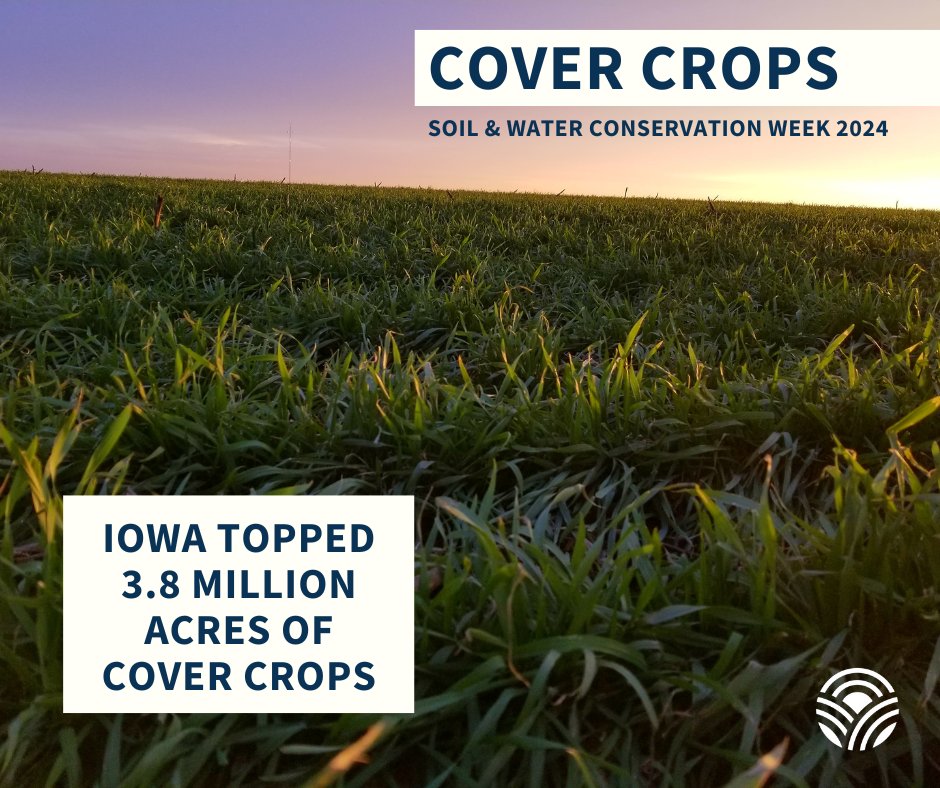 Cover crops are gaining ground in Iowa, which has topped 3.8 million acres of cover crops. This is a huge increase compared to just a few thousand acres a decade ago. We want to push this number significantly higher. We are just getting started! #IowaAg #CleanWaterIowa