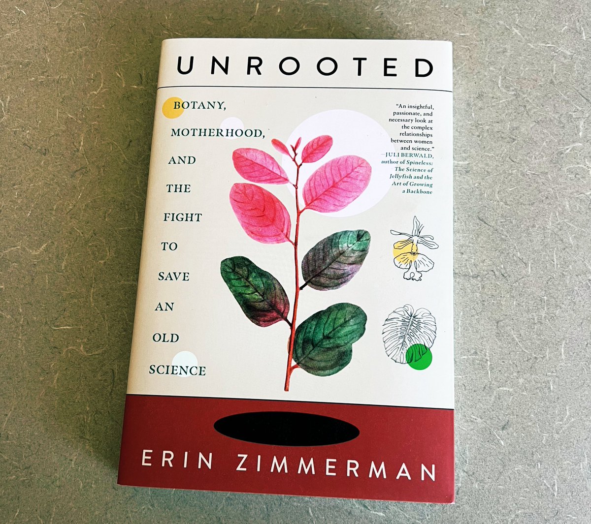 Excited to have my copy of Unrooted by @DoctorZedd. Like many others, I only know Erin through this site, but we all have a strong connection as #womeninSTEM. I look forward to reading about Erin’s journey in her own words.