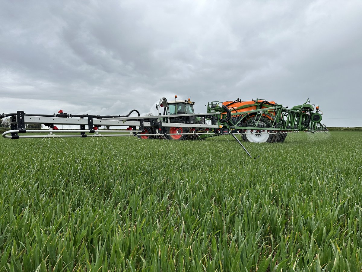 Luke Thornton tweet media