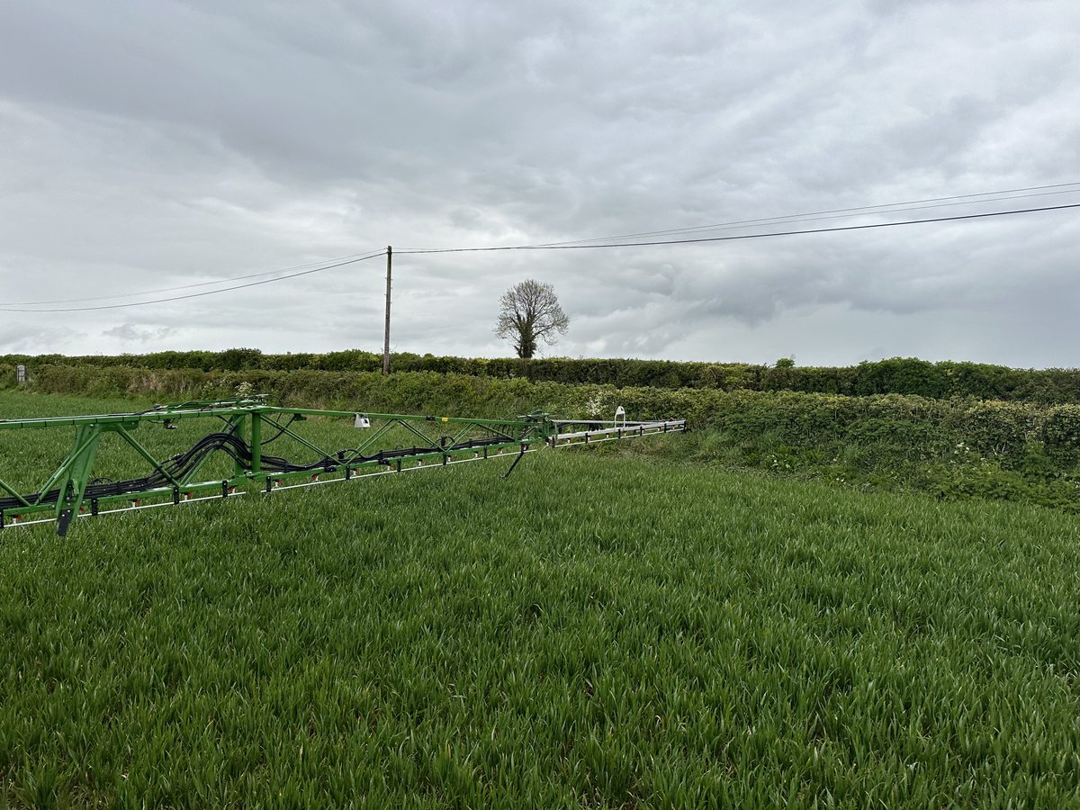 Luke Thornton tweet media