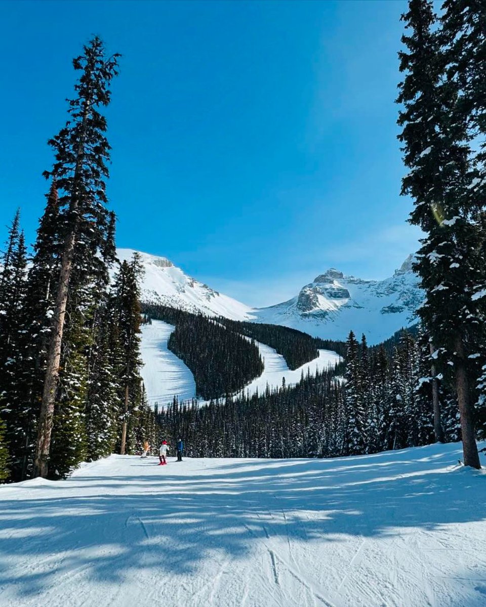 banfflakelouise tweet picture