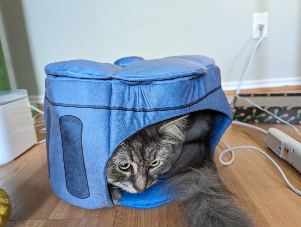 Happy first anniversary to <a href="/honkaistarrail/">Honkai: Star Rail</a> !! I'm grateful to be even a smol part of this addicting game - hoping Ruan Mei and her cat cakes show up again soon!