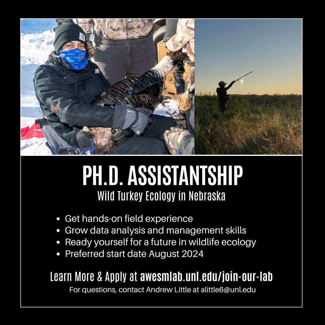 We are #hiring! 
Currently looking to fill a PhD position to work on spatial ecology. This is a funded position with a preferred start in August 2024. Please share within your circles!

Learn more: awesmlab.unl.edu/download/PhD-T…

#PhDposition #NowHiring #GraduateSchool #GradSchool