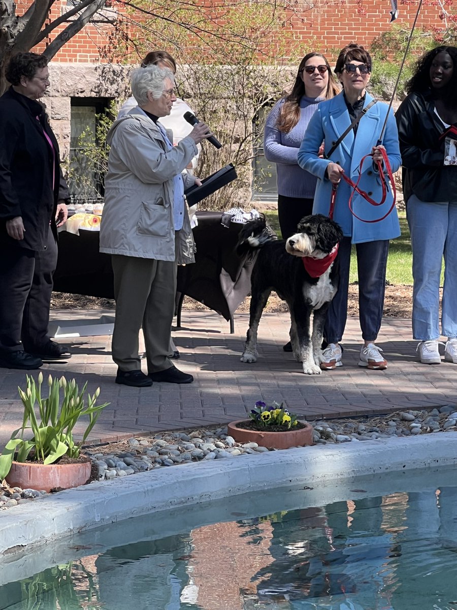 On Wednesday, @CSBSJU held the annual March of the Koi at CSB! ☀🌿🌸 During this celebration, the koi fish move from their winter home to their springtime pond. It's a cherished tradition the promotes community & embraces nature. Sister Michaela Hedican shared the blessing.